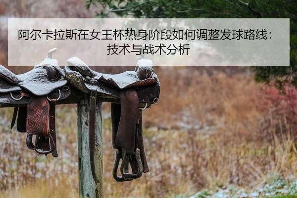 a-er-ka-la-si-zai-nv-wang-bei-re-shen-jie-duan-ru-he-tiao-zheng-fa-qiu-lu-xian-ji-shu-yu-zhan-shu-fen-xi-2-993.jpg