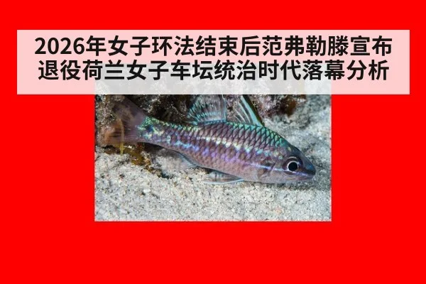 2026年女子环法结束后范弗勒滕宣布退役荷兰女子车坛统治时代落幕分析