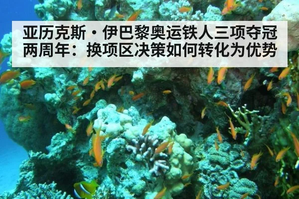 亚历克斯·伊巴黎奥运铁人三项夺冠两周年:换项区决策如何转化为优势